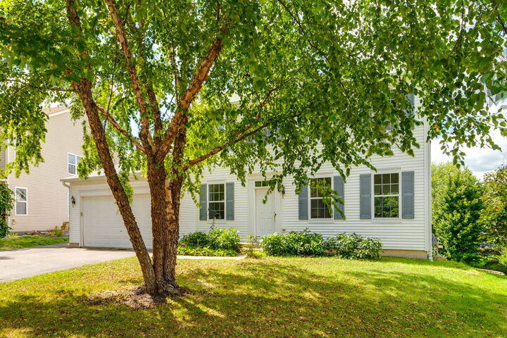 Property Photo: 2227 Trailside Lane IL 60084