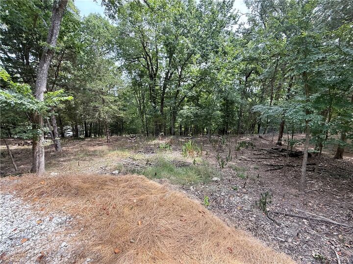 Hickory Drive  Garfield AR 72732 photo
