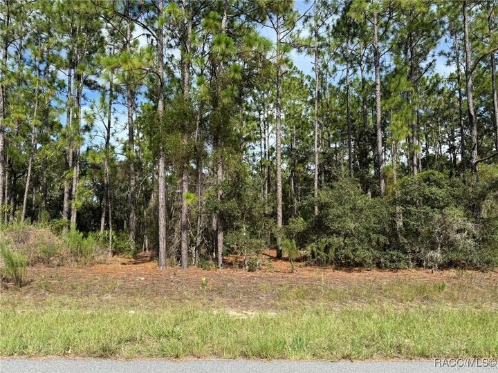 Property Photo: 11109 N Trigger Terrace FL 34433