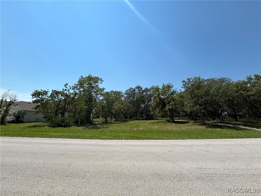 Property Photo: 60 Woodfield Circle FL 34446