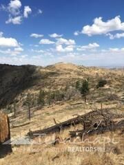 Property Photo: 0 Wild Horse Road CA 93561