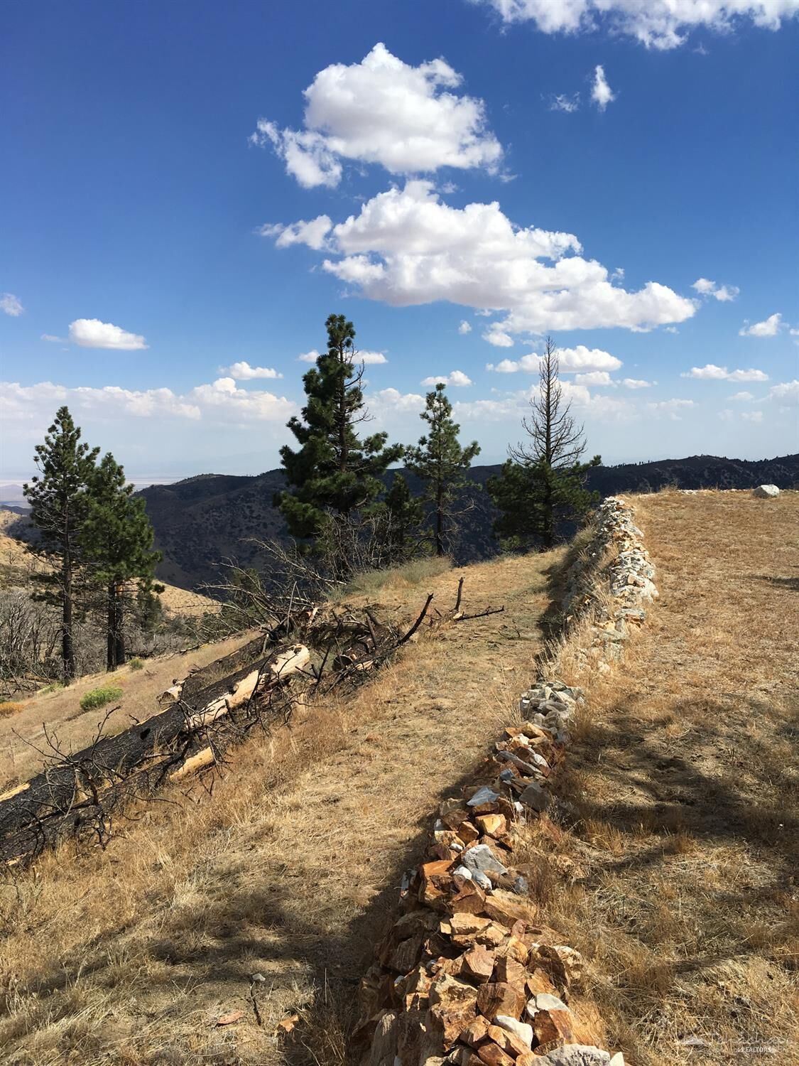 Property Photo: 0 Wild Horse Road CA 93561