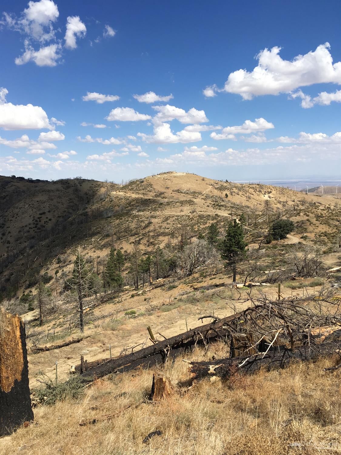 Property Photo: 0 Wild Horse Road CA 93561