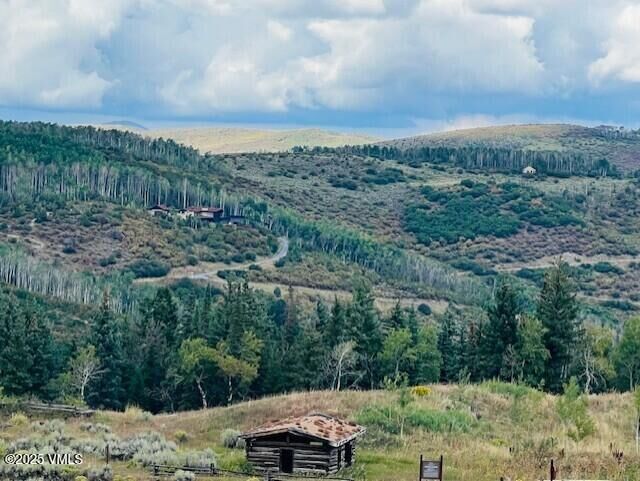 Property Photo: 210 Settlers Loop CO 81632