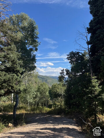 23215 N Deer Valley Dr K68  Fairview UT 84629 photo
