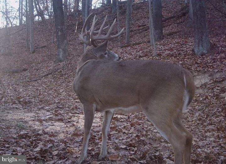 Property Photo:  Route 522  PA 17812 