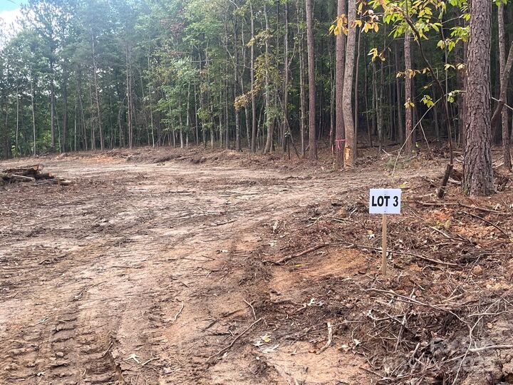 V/L W V Thompson Road 3  Rutherfordton NC 28139 photo