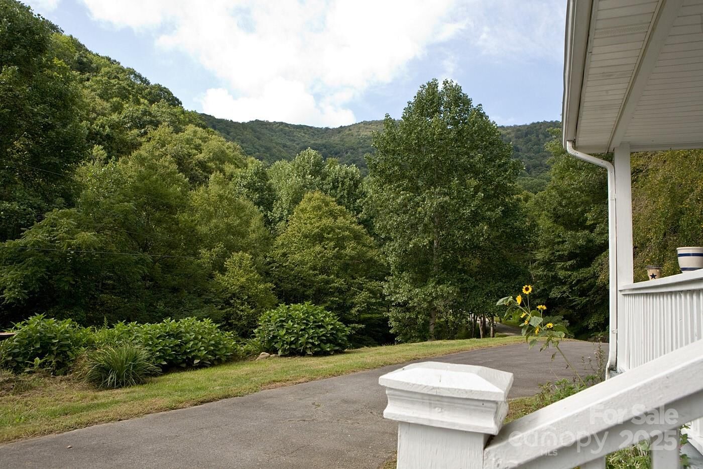 Property Photo: 165 Peepeye Cove Road NC 28748