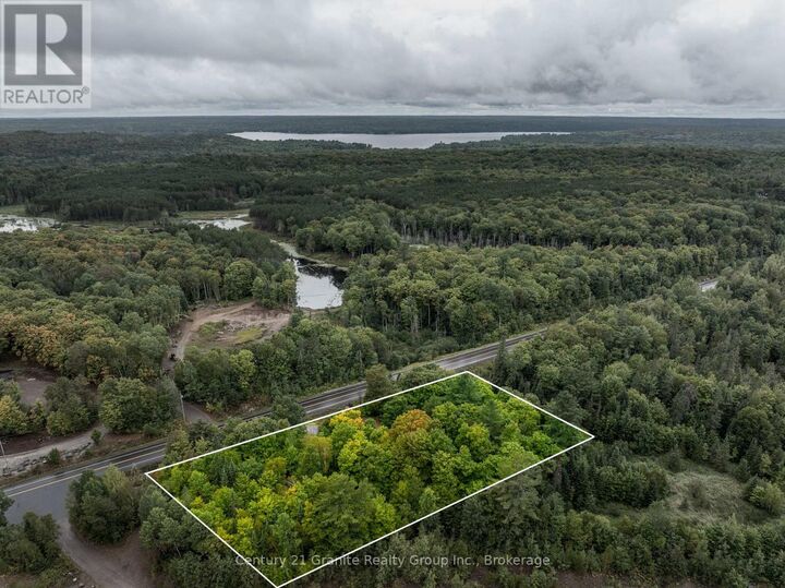 9564 Highway 118  Algonquin Highlands (Stanhope) ON K0M 1S0 photo