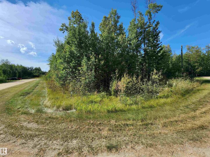 Photo de la propriété: 35 Village West AB T0C 2V0