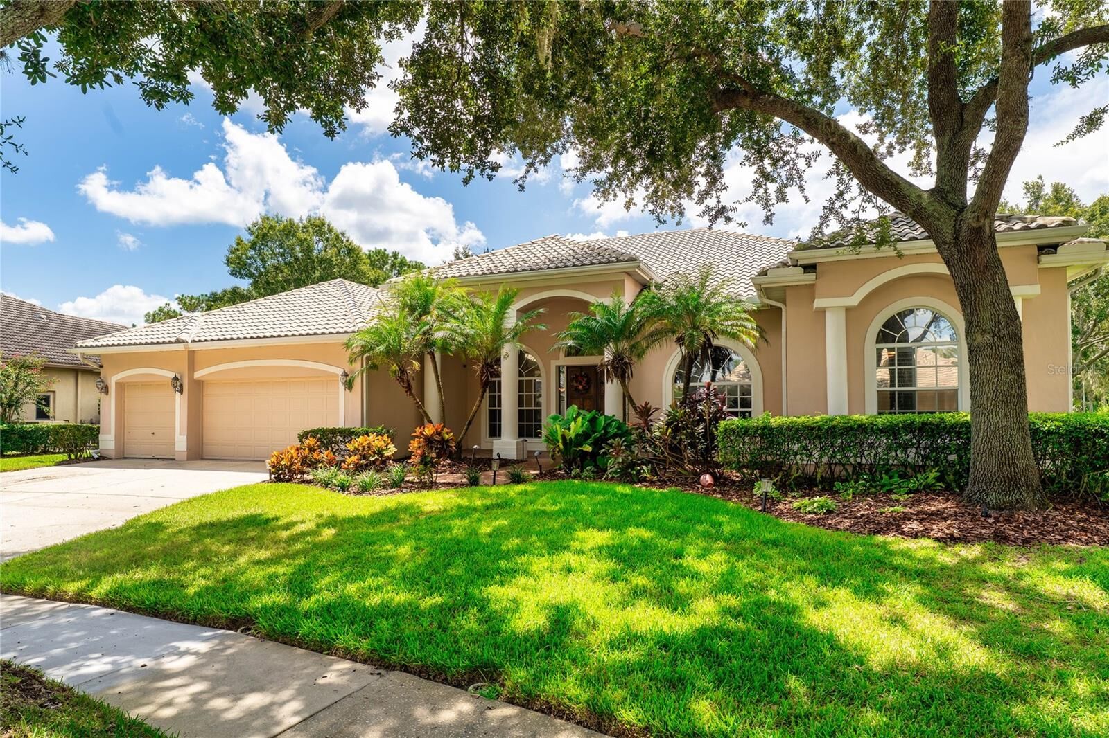 Property Photo:  9117 Woodridge Run Drive  FL 33647 