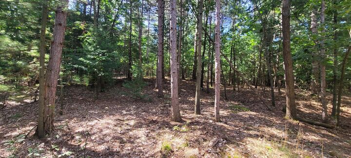 Property Photo: S 32nd Avenue MI 49455
