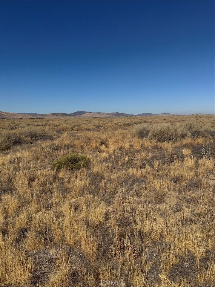 Property Photo: 0 Briceland Road CA 93453