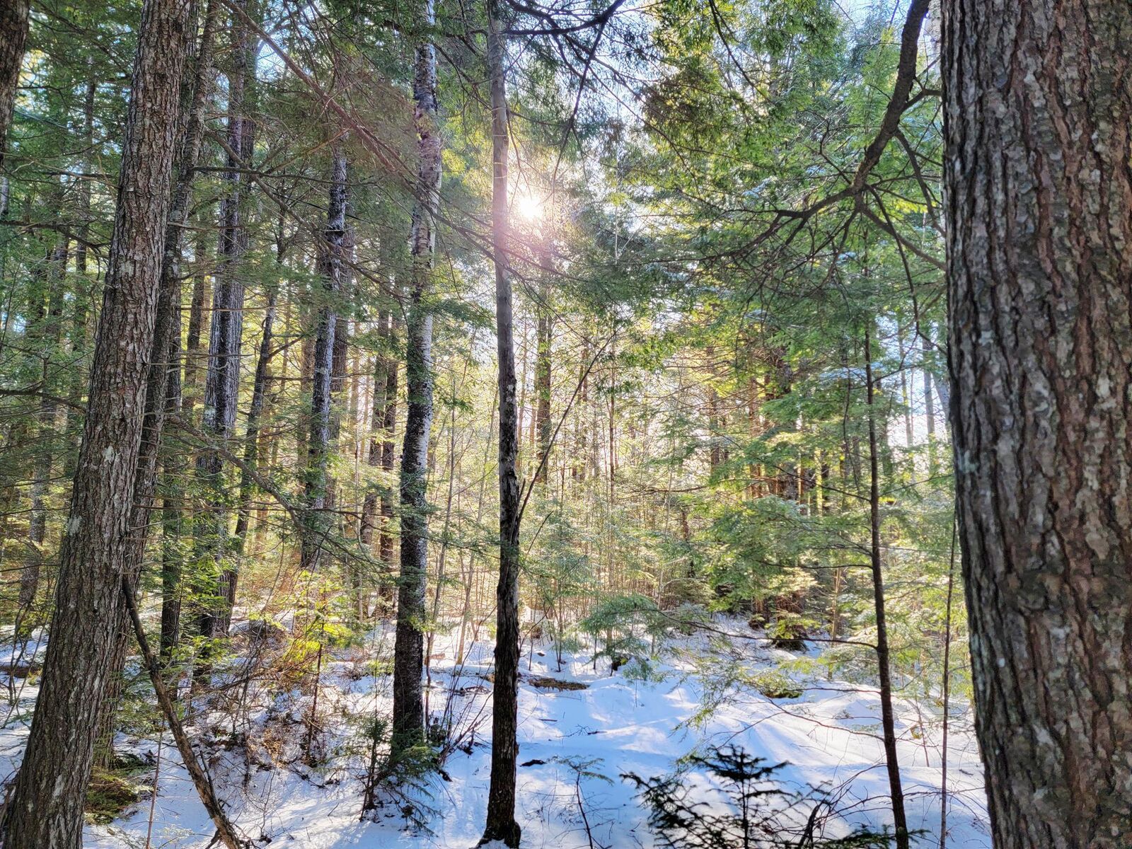 Property Photo:  27 Trout Brook Road  ME 04605 