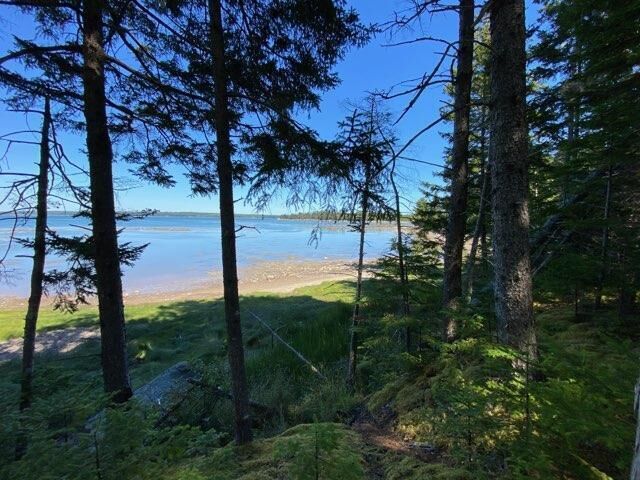 Property Photo: 715 Paul Bunyan Rd Road ME 04624