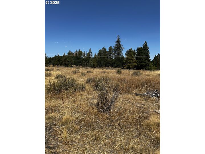 Property Photo: Blk 22 Bickleton Hwy WA 99322
