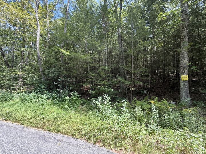 Property Photo: 0 Quaddick Town Farm Road CT 06277