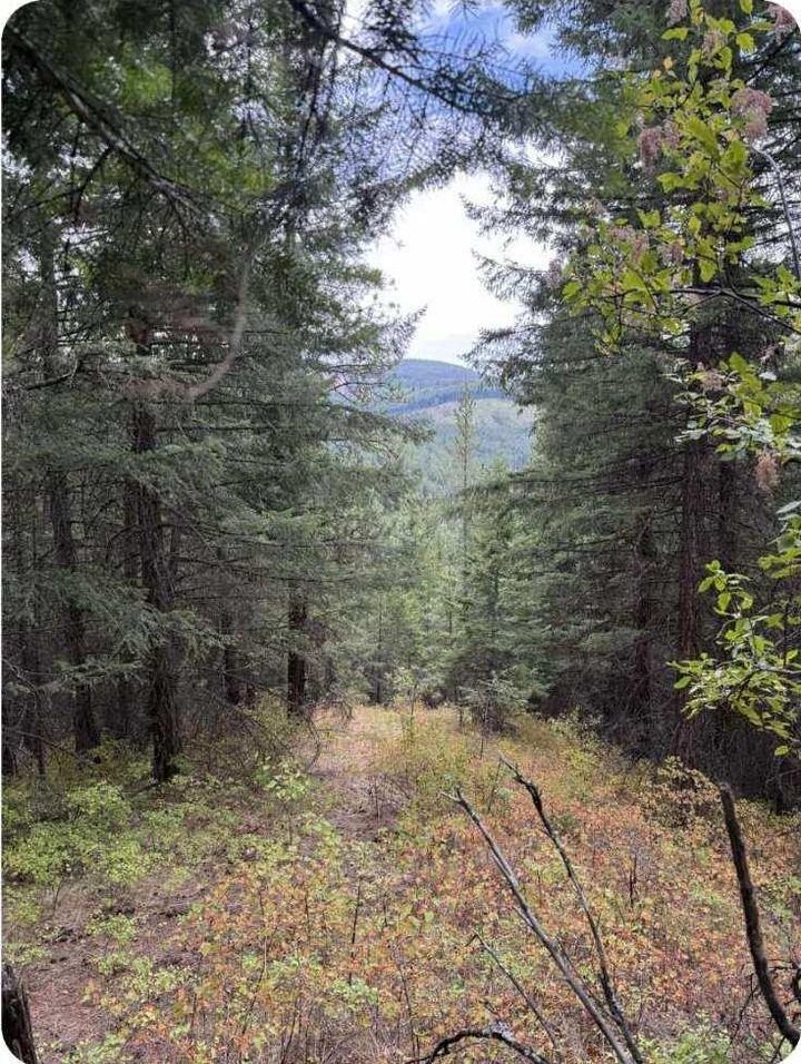 Property Photo: 34xxx N Blanchard Creek Rd WA 99156
