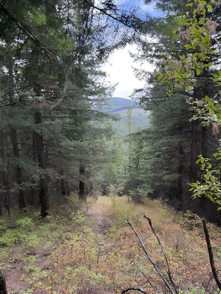 Property Photo: 34xxx N Blanchard Creek Rd WA 99156
