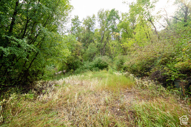 Property Photo:  1422 Basel Dr 115  UT 84049 