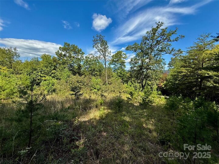 Property Photo:  0 Hibiscus Court 5  NC 28746 