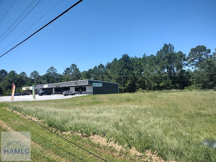 Property Photo: 951 Elma G Miles Pkwy GA 31313
