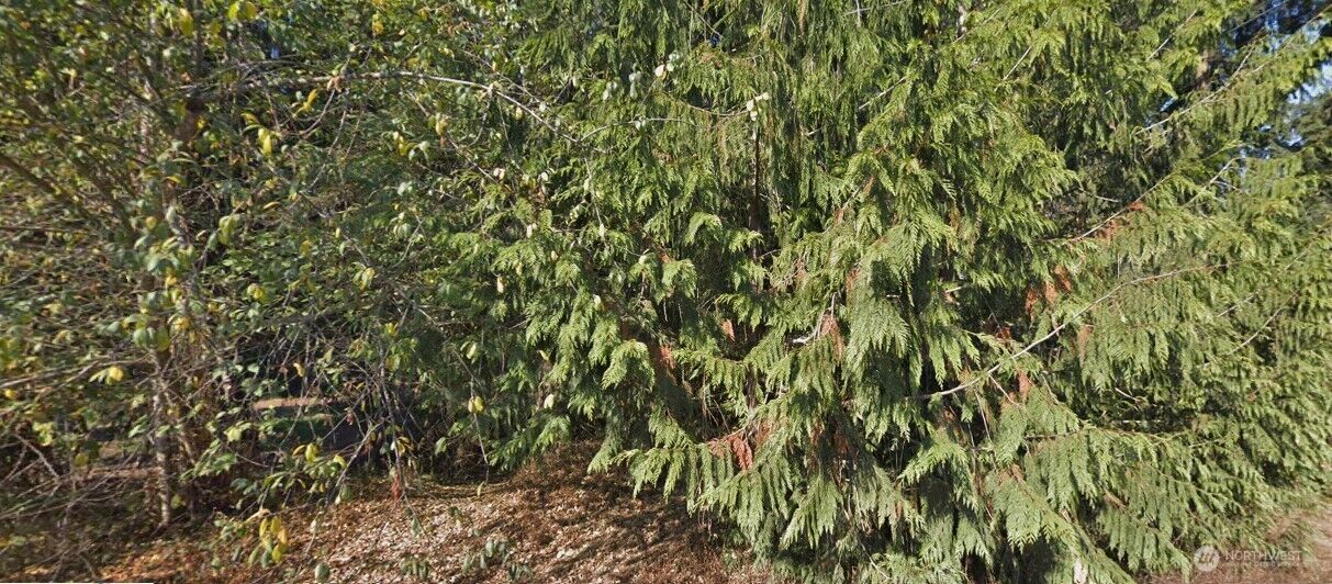 Property Photo: 372 Xx 34th Avenue S WA 98001
