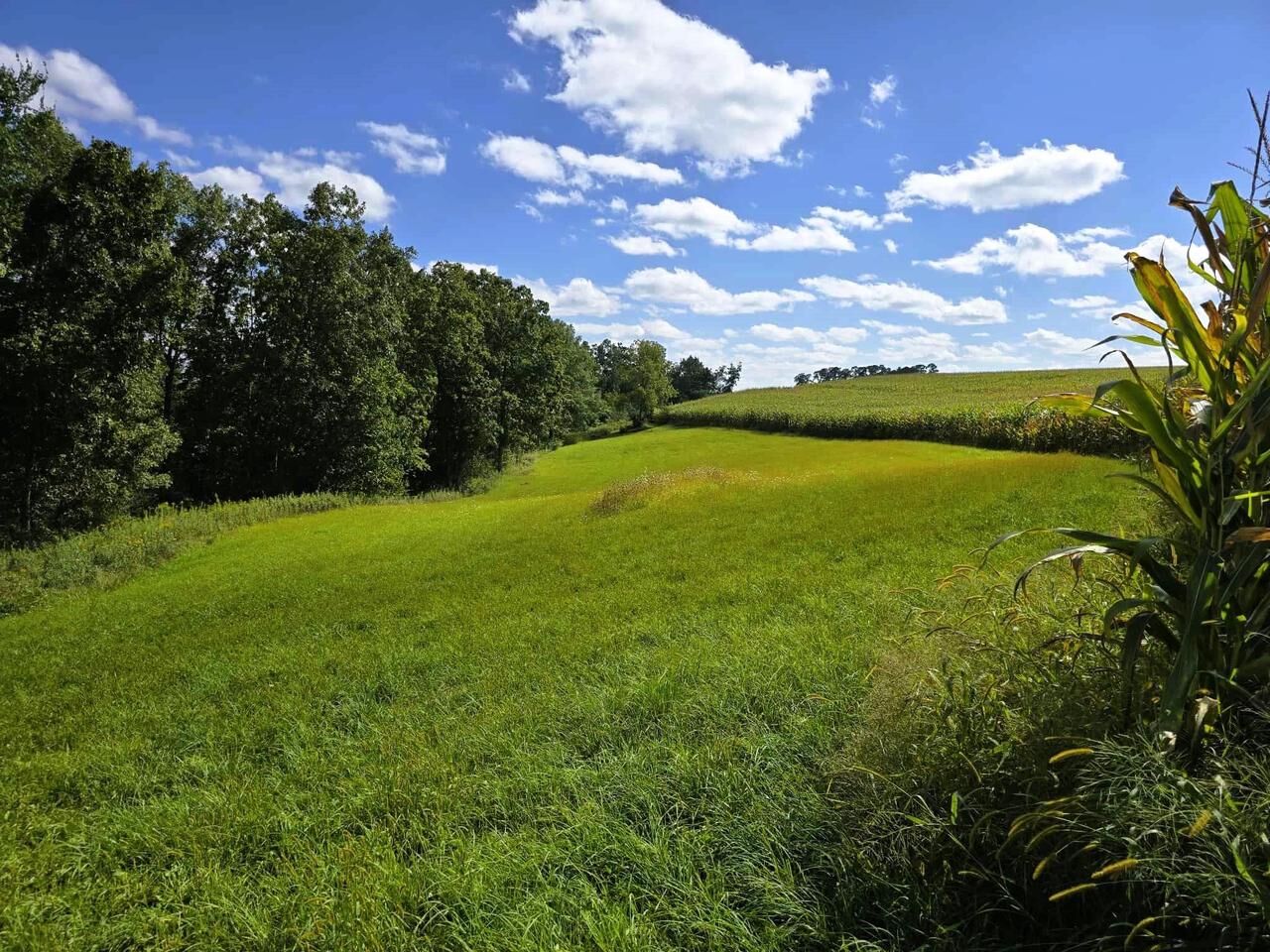 Property Photo:  17 Acres +/- Sherry Ridge Road  WI 54655