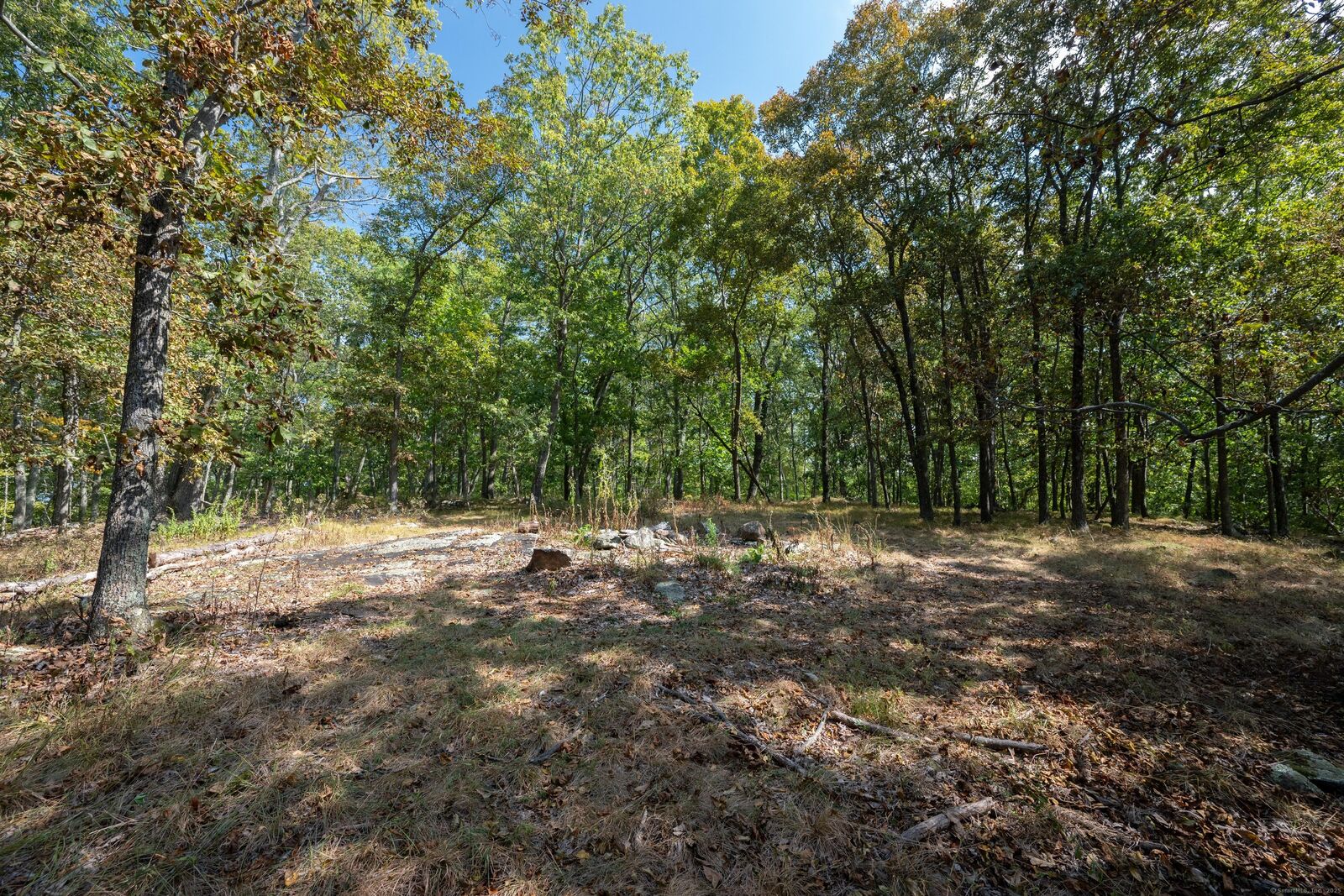 Property Photo: 172 Middle River Road CT 06811