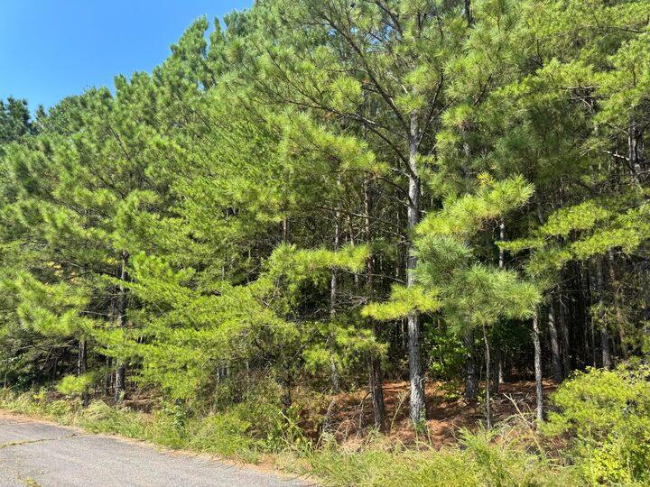 Property Photo: Lot 4 Kimwood Subdivision AL 35503