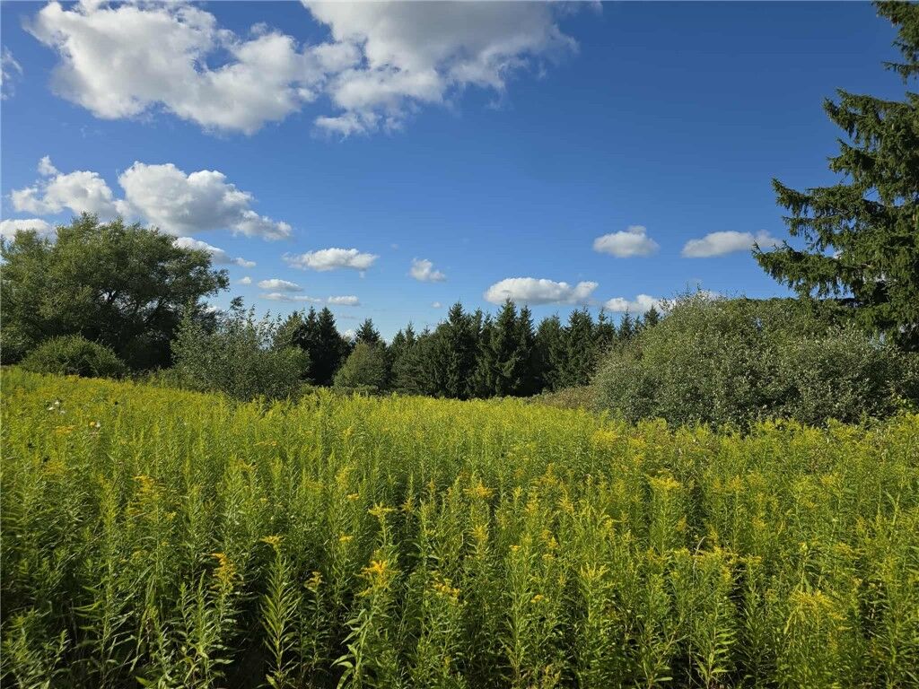 Property Photo:  0 Call Hill Road  NY 14806 