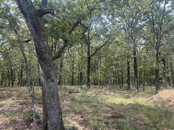 Property Photo: 8 Acres Lakeview Drive AR 72032