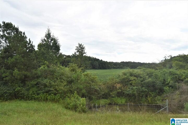 Property Photo:  000 I-20 1  AL 36203 