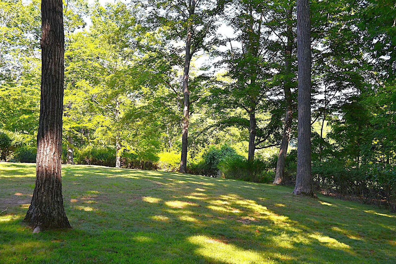 Property Photo: 174 Upper Meadow Ln WV 24901