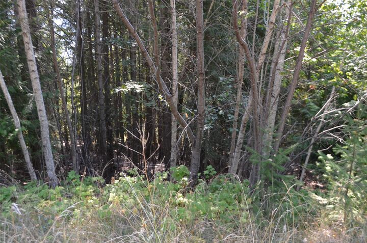 Property Photo: Fraser Road BC V0E 1M8