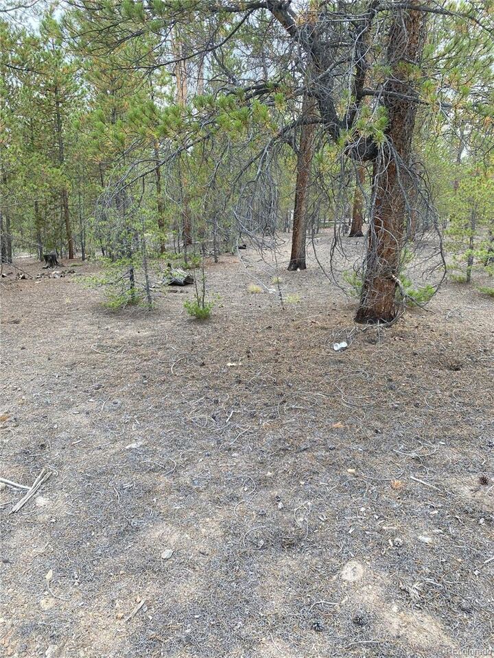 Property Photo: 340 Peak View Drive CO 80461