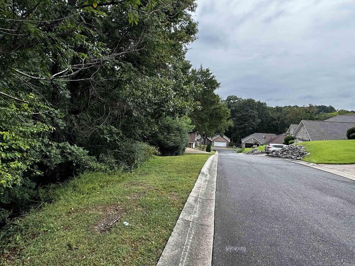 Property Photo:  Lot 28 Forest View Circle  AR 71913 