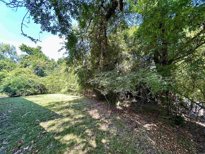 Property Photo:  Lot 12 Wahoo Street  AR 71913 