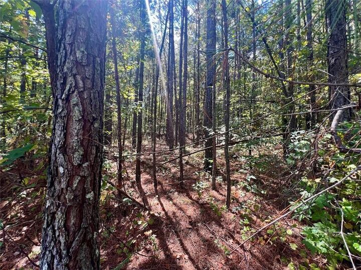 Property Photo: 1150 Denton Road GA 30134