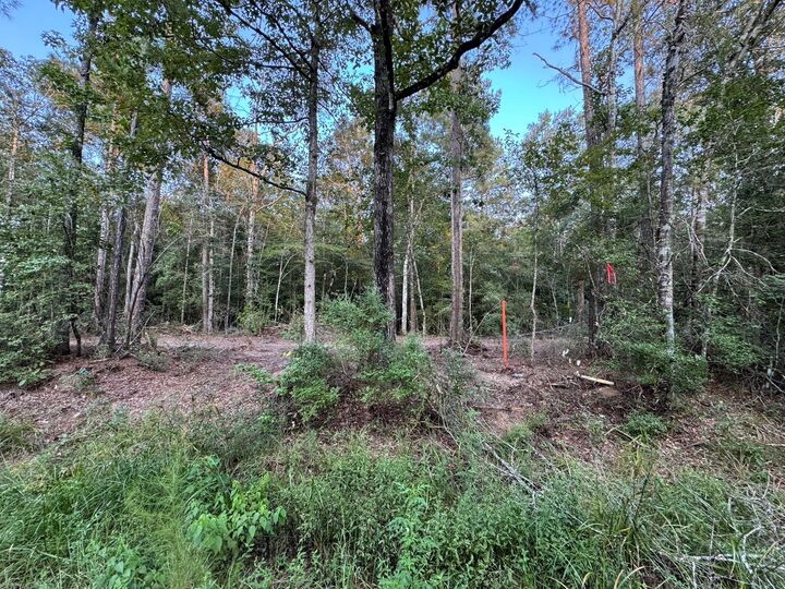 Property Photo:  730 Cr 459  TX 75956 