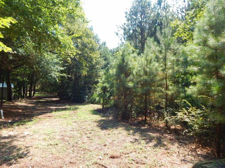 Property Photo:  Tbd 45 Hwy 155  TX 75644 