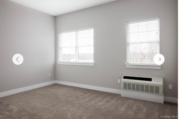 Property Photo:  116 Waverly Avenue 9  NY 11772 