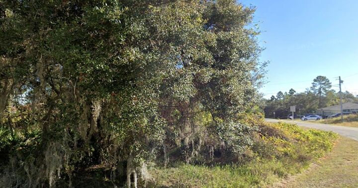 Property Photo:  1225 Wahneta Drive  FL 34759 