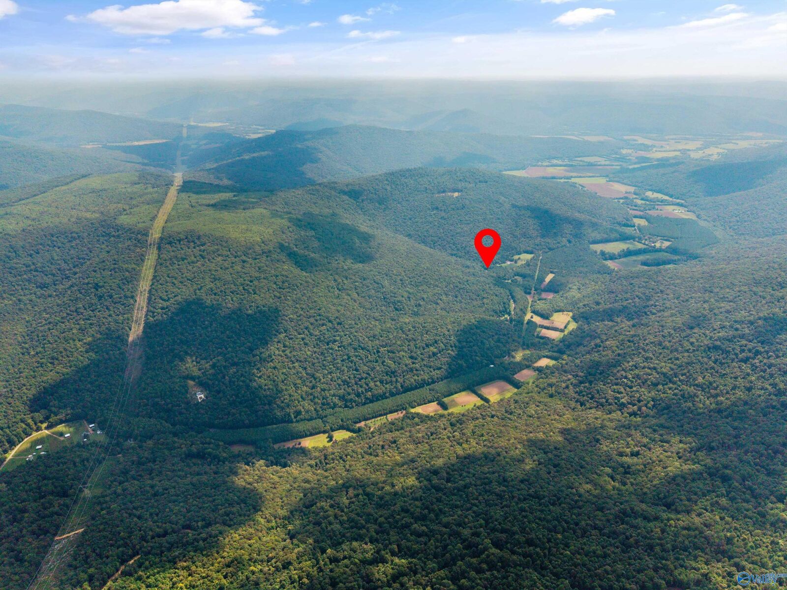 Property Photo:  3818 -6 County Road 4 Tract 6  AL 35751 