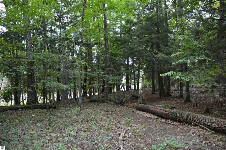 Property Photo: 16568 Wagner Road MI 49650