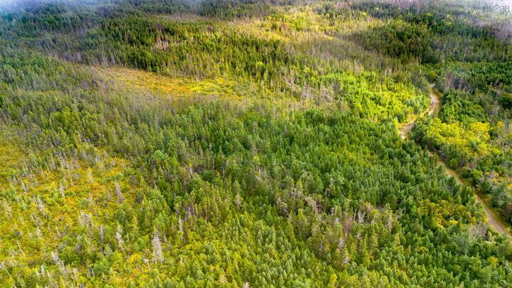 Property Photo:  Lot 5&6 Oceanview Road  NS B0A 1P0 