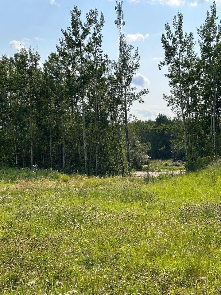 Property Photo: 67417 McGrane Road 123 AB T0A 2C2