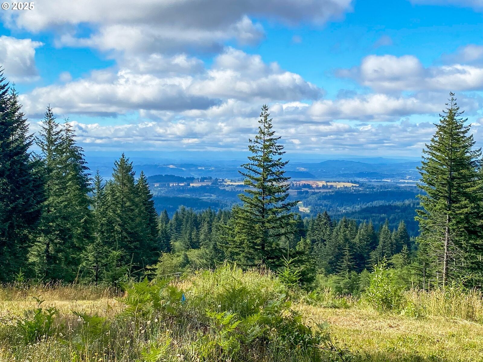 Property Photo: NE Hancock Rd 1 WA 98607