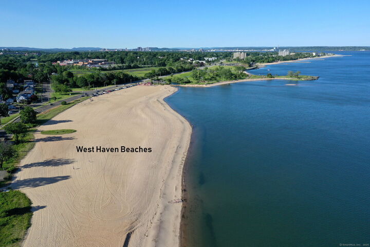 Property Photo:  137 Harding Avenue  CT 06516 