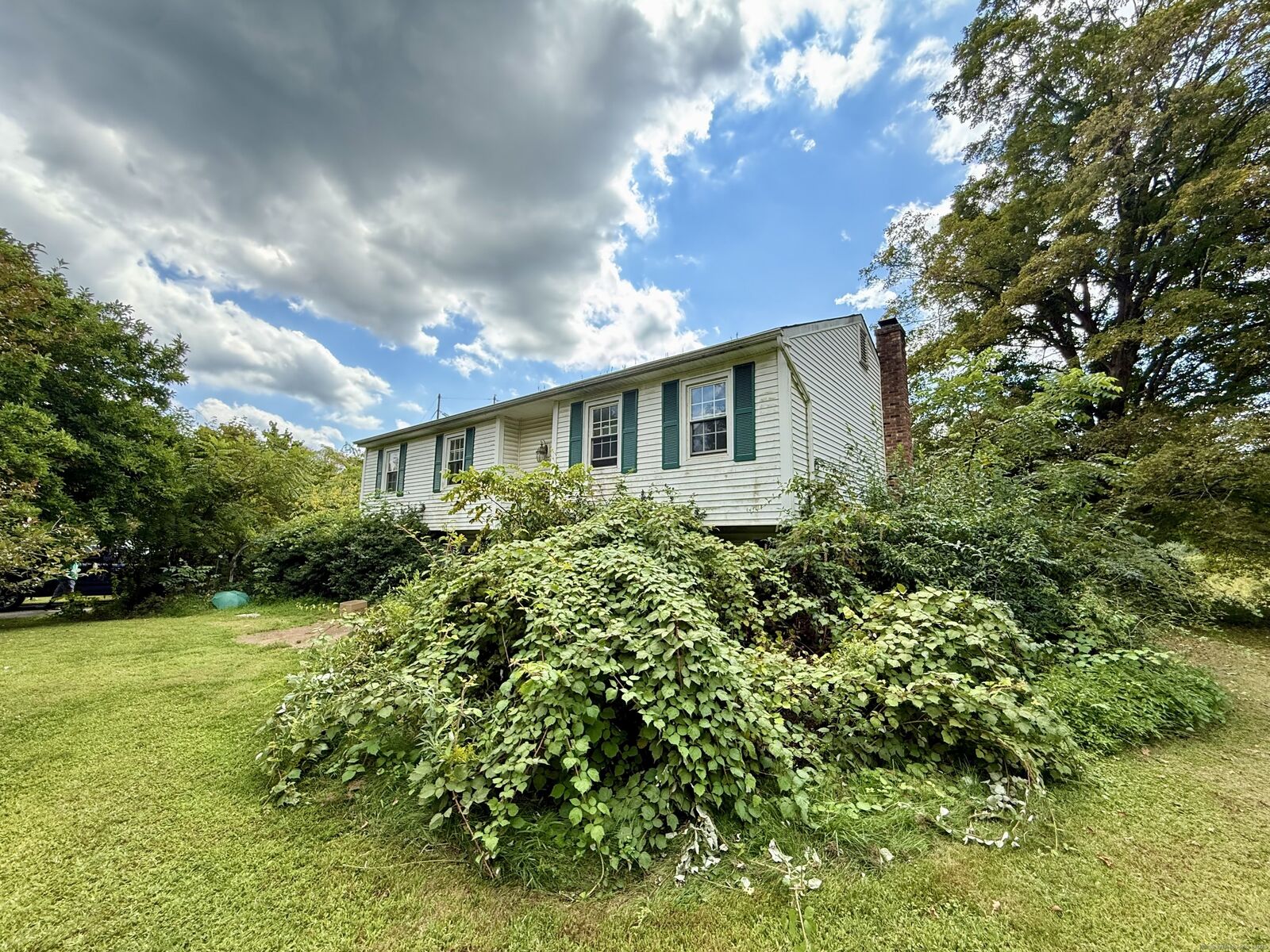 Property Photo: 27 Meadowland Drive CT 06755
